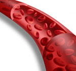 blood vessel