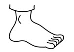 foot