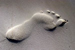 footprint