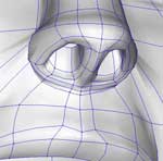 nostril